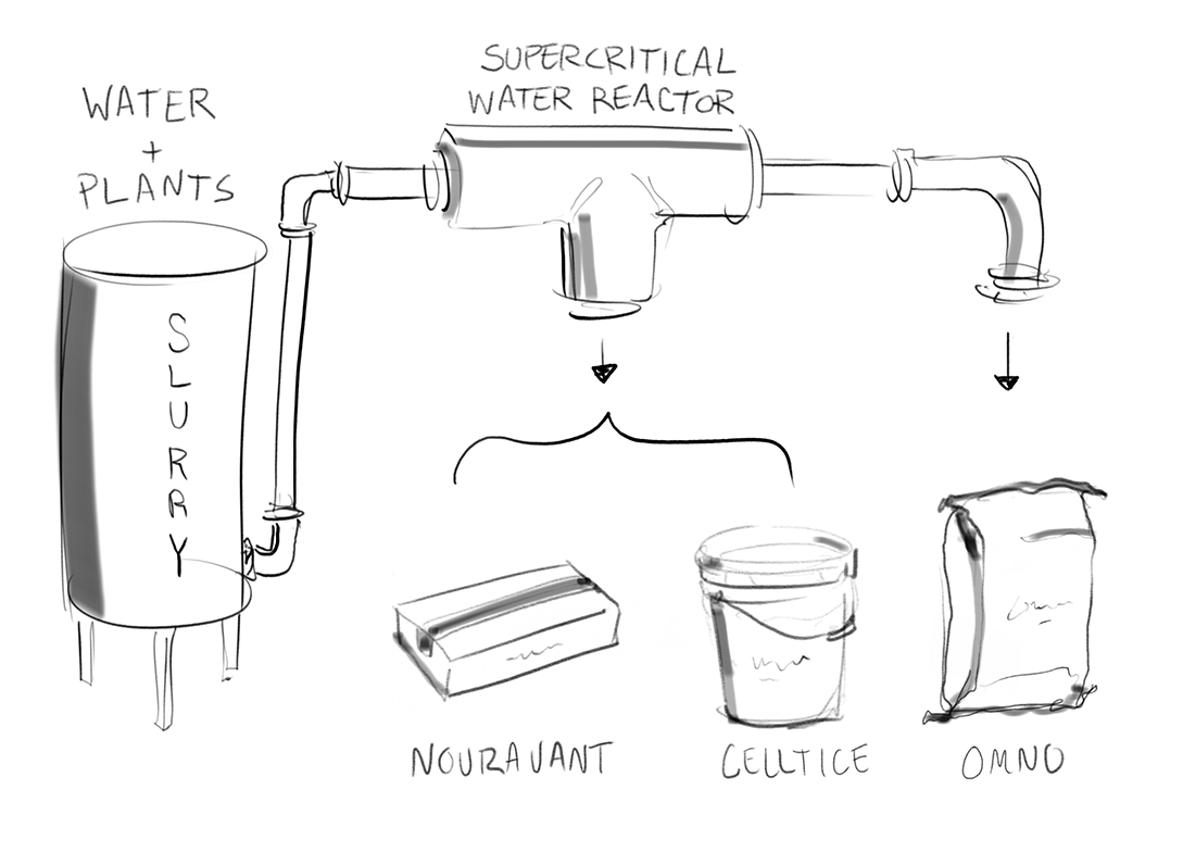 Plantrose Process